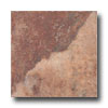 Tesoro Tesoro Isla Colosseum 6.5 X 6.5 Cotto Tile  &  Stone