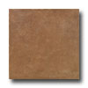 Emser Tile Emser Tile Vecchia Corte 7 X 7 Noce Tile  &  Stone