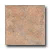 Earth Werks Earth Werks Madrid Stone Ams822 Vinyl Flooring