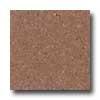 Santa Regina Santa Regina Designer 16 X 16 (polished) Salmon Terrazzo Tile