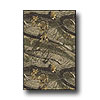 Milliken Milliken Realtree Collection 5 X 8 Hardwoods Solid Camo Area Rug