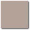 Daltile Daltile Natural Hues 2 X 2 Pebble Tile  &  Stone