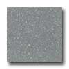 Santa Regina Santa Regina Architectural 16 X 16 (natural) Steel Gray Terrazzo