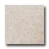 Emser Tile Emser Tile Paradiso 16 X 16 Natural Tile  &  Stone