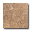 American Olean American Olean Cortesia 10 X 20 Noce Tile  &  Stone