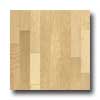Hartco Hartco Metro Classics 5 Maple Natural Hardwood Flooring