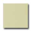 Daltile Daltile Semi-gloss 4 1 / 4 X 4 1 / 4 Misty Meadow Tile  &  Stone