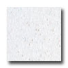 Armstrong Armstrong Excelon Companion Square Premium Kaleidoscope White Vi