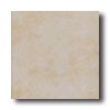 New World New World Brookfield 17 X 17 Beige Tile  &  Stone
