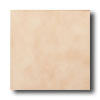 American Olean American Olean Subtle Steps Ii 12 X 12 Arabian Sand Tile  &  Stone