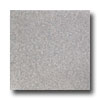 Tarkett Tarkett Fiber Floors Easy Living - Terrazzo Sure Gray Vinyl Floo