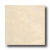 Armstrong Armstrong Exotic Room 9 X 13 Vertical Tile  &  Stone