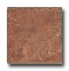 Cerdomus Cerdomus Pietra D Assisi 8 X 8 Rosso Tile  &  Stone