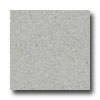 Mannington Mannington Solid Point Gravel Vinyl Flooring