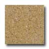 Santa Regina Santa Regina Architectural 16 X 16 (natural) Honey Mustard Terra