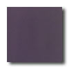 Daltile Daltile Designer Colours 8 X 8 Purple Tile  &  Stone