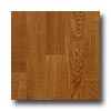 Mohawk Mohawk 5 Plain Sliced Engineered Vanderbilt Oak Autumn Hardwood
