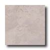 Tesoro Tesoro Tropical 18 X 18 Cream Tile  &  Stone