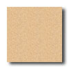 Mannington Mannington Biospec Balsa Vinyl Flooring
