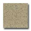 Santa Regina Santa Regina Architectural 16 X 16 (antique) Harvest Gold Terraz