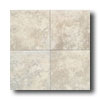 American Olean American Olean Pietre Di Serre 13 X 13 Crema Tile  &  Stone