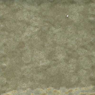 Portobello Portobello Rainforest Mosaic Amazon Tile  &  Stone