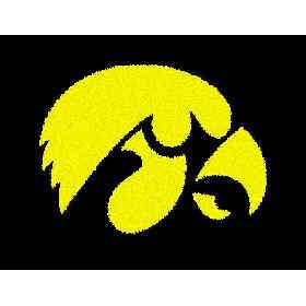 Strike Off Company, Inc Strike Off Company, Inc Iowa University Iowa Entry Mat Entry Mat