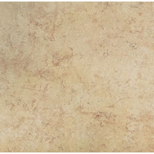 American Olean American Olean Selce 18 X 18 Terre Verde Tile  &  Stone