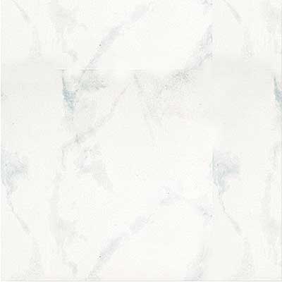 Portobello Portobello Marmi 12 X 12 Carrara Bianco Tile  &  Stone