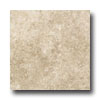 American Olean American Olean Carriage House 18 X 18 Straw Tile  &  Stone