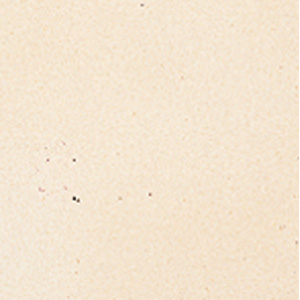 Daltile Daltile Sierra 8 X 8 Peach Tile  &  Stone