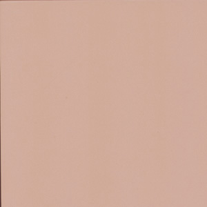 Daltile Daltile Porcealto (unpolished) 12 X 12 Ferro (solid) Tile  &  Ston