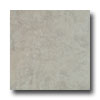 Earth Werks Earth Werks Aspen Aa805 Vinyl Flooring