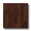 Robbins Robbins Urban Exotics Collection Strip Beech 2 1 / 4 Sierra Hardwo