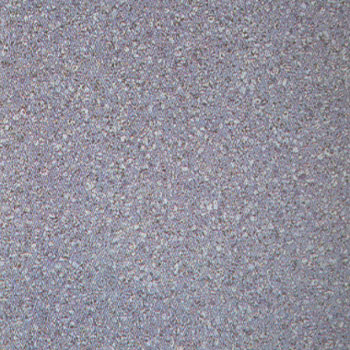 Interceramic Interceramic Pacific 20 X 20 Tahiti Tile  &  Stone