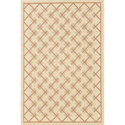 Stepco Stepco Patio Rugs 5 X 8 724 Cream Terra Area Rugs