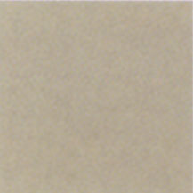 Mohawk Mohawk Colorations 4 X 4 Fern Tile  &  Stone