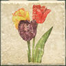 Interceramic Interceramic Botanical 4 X 4 Deco C Tile  &  Stone