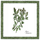 Interceramic Interceramic Ferns Deco C - 6 X 6 Tile  &  Stone