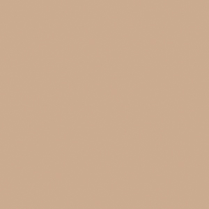 Daltile Daltile Liners Flat 1 X 6 Mexican Sand Tile  &  Stone