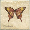 Interceramic Interceramic Garden Guests Butterfly B - 4 X 4 Tile  &  Stone