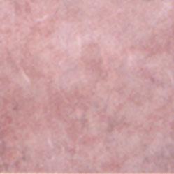 Mohawk Mohawk Del Mar 12 X 12 Terra 3475 Tile  &  Stone