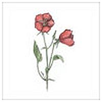 Interceramic Interceramic English Garden Deco C - 4 X 4 Tile  &  Stone