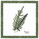 Interceramic Interceramic Ferns Deco A - 6 X6 Tile  &  Stone