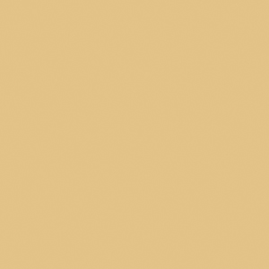 Daltile Daltile Semi-gloss 4 X 4 Chamois Tile  &  Stone