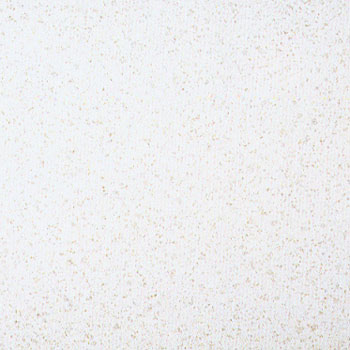 Interceramic Interceramic Pacific 20 X 20 Bora Bora Tile  &  Stone