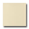 Mohawk Mohawk Colorations 6 X 6 Gloss Ivory Lace Tile  &  Stone