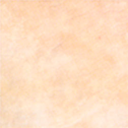 Mohawk Mohawk Del Mar 18 X 18 Beige 4111 Tile  &  Stone