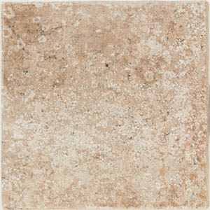 Daltile Daltile Fiorito 6 X 6 Noce Tile  &  Stone