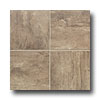 Mohawk Mohawk Mira Lagos 6 X 6 Costa Brown Tile  &  Stone